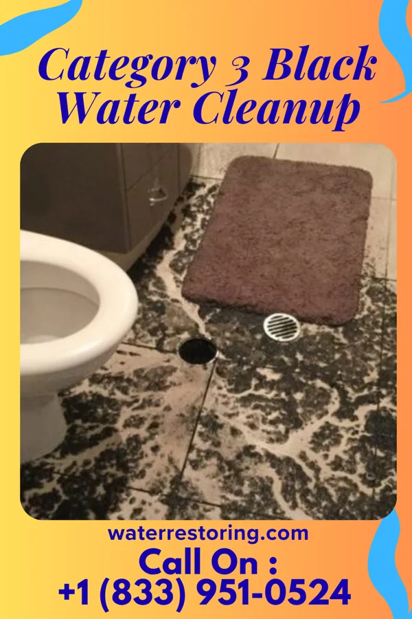 Category 3 Black Water Cleanup in Coon Valley, WI