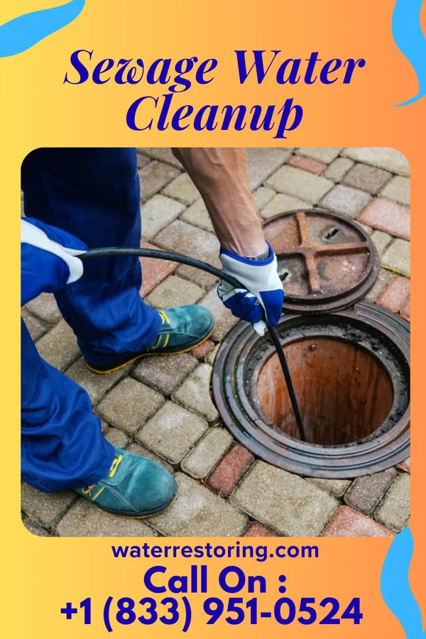 Sewage Water Cleanup in Coon Valley, WI